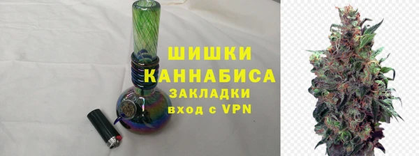 бошки Снежногорск
