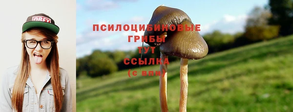 винт Белоозёрский