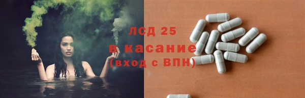 ПСИЛОЦИБИНОВЫЕ ГРИБЫ Богородицк