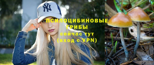 винт Белоозёрский