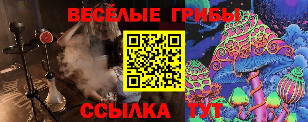 наркотики  Вход с VPN  Галлюциногенные грибы MAGIC MUSHROOMS  Свободный  Псилоцибиновые грибы Psilocybine cubensis 